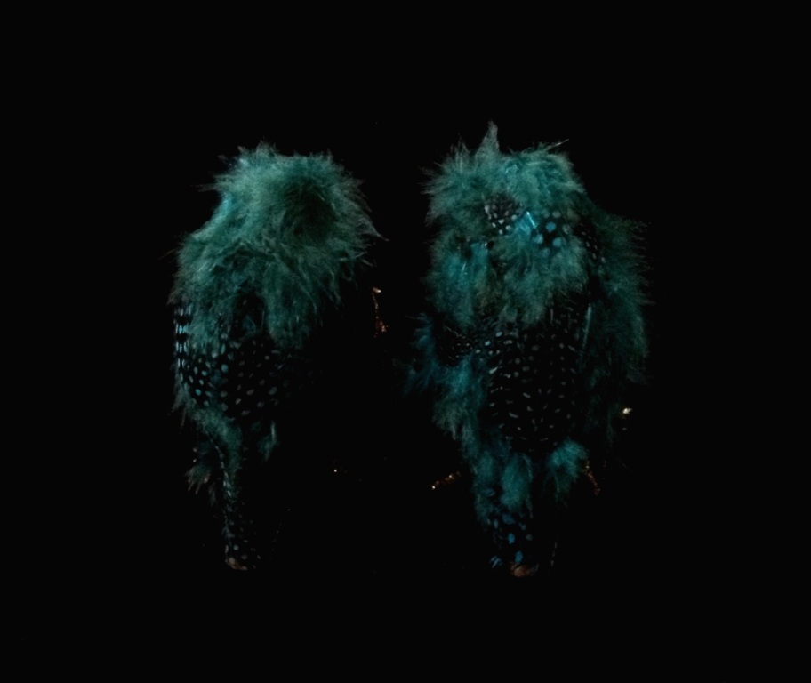 Criminal Aesthetic Fashion #18, 2013, plumes and gold leaf, size n40 / 9, unique piece