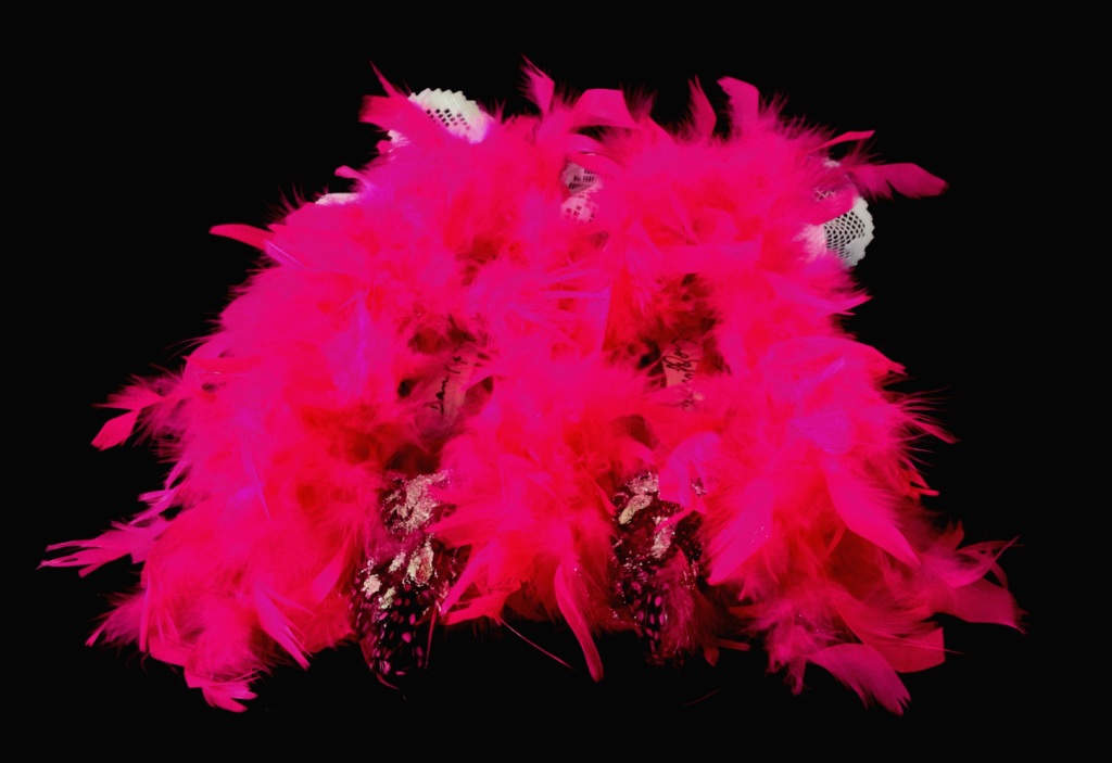 Criminal Aesthetic Fashion #26, 2013 plumes, lace and glitter, size 40 / 9, unique piece